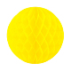 photo-2877601