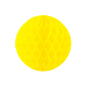 photo-2992562
