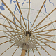 photo-2897721