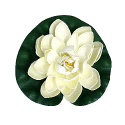 Лилия плавающая 18х18 см белый